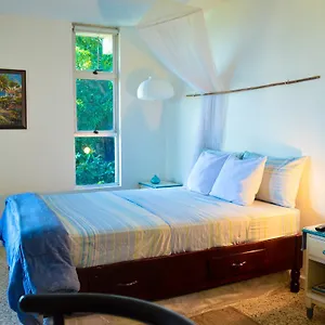 Moonlight Studio @montego Bay Club Apartment Montego Bay